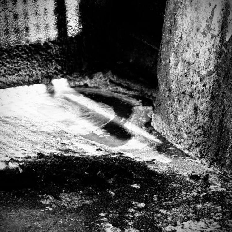 Grease Trap (EP) – Pleb